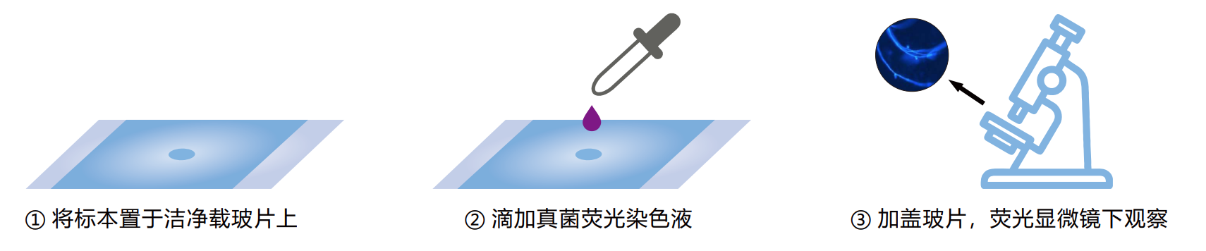 202307141415978770.png 1689315276616.png